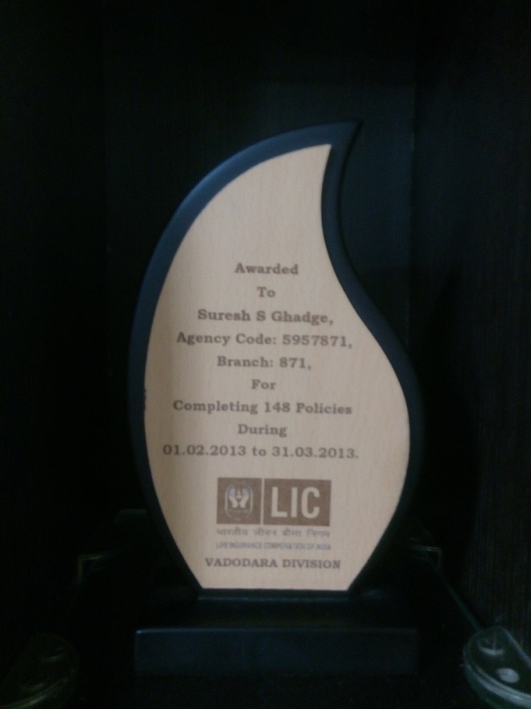 LIC 2013